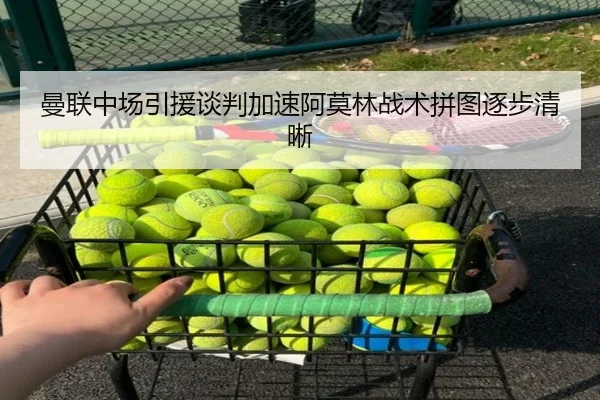 曼联中场引援谈判加速阿莫林战术拼图逐步清晰