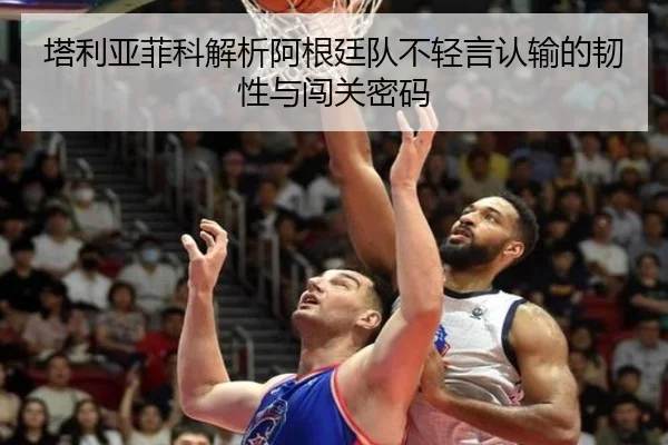 塔利亚菲科解析阿根廷队不轻言认输的韧性与闯关密码