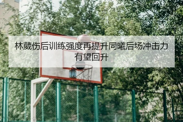 林葳伤后训练强度再提升同曦后场冲击力有望回升